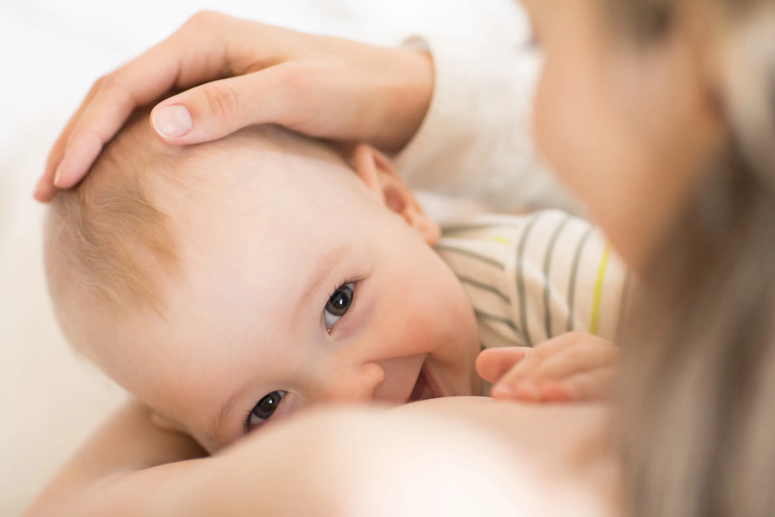 In-Home consultations